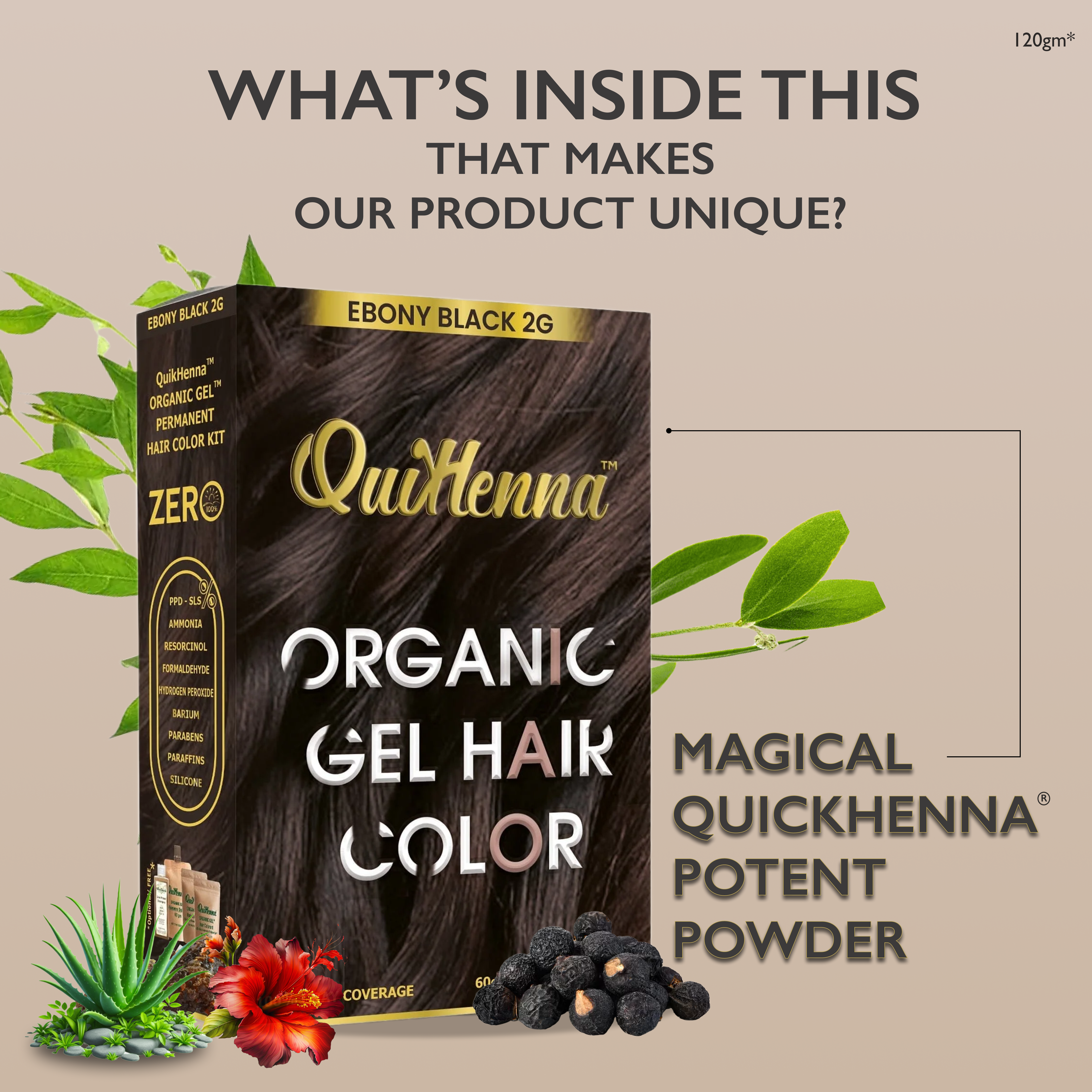 QuikHenna Zero Allergic 2G Ebony Black Damage Free Organic Gel Hair Color 120g