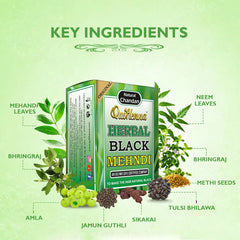 QuikHenna Herbal Black Mehndi for Men and Women 65gm | 100% Grey Coverage